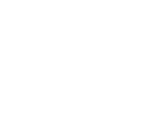 ANSES
